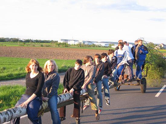 Maibaum 69.jpg